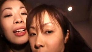 Asiatische Babes in Lingerie werden in einem Dreier gefingert und besamt