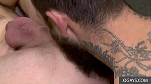 Homens gays peludos em um encontro anal apaixonado - Dustin Steele e Matt Muck